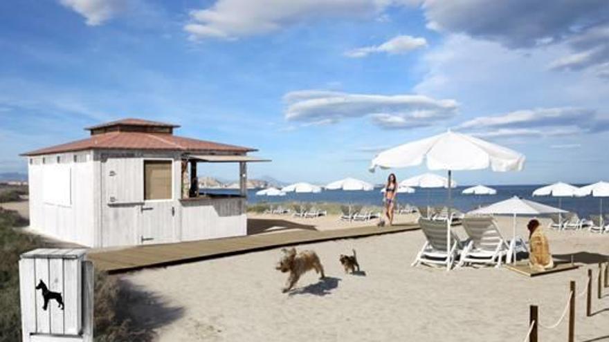 Hamacas, sombrillas y quiosco con comida y bebida para perros en la nueva playa canina