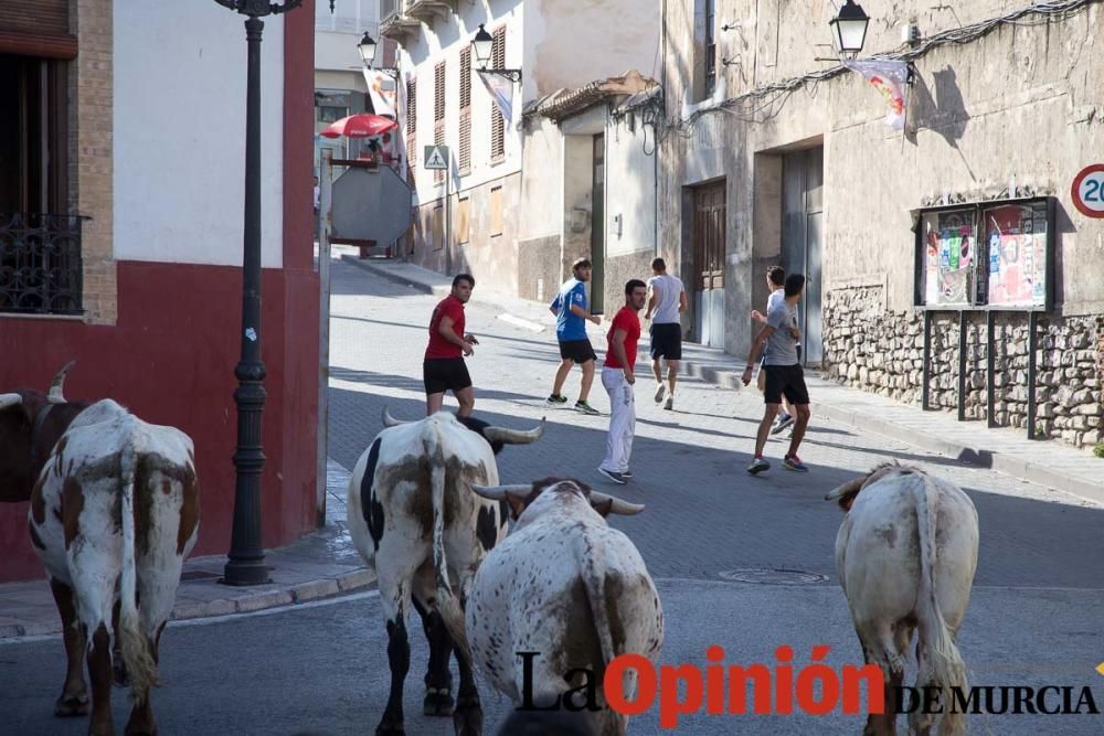 Cuarto encierro Fiestas de Moratalla