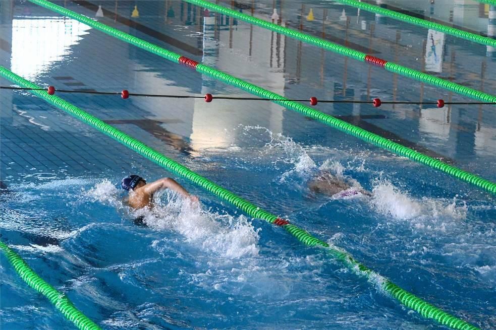 Trofeo Ciudad de Zaragoza de natación