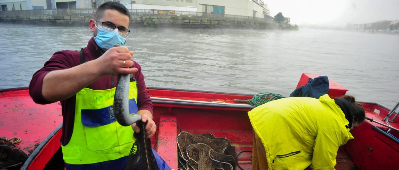 Ramón Agrasar de Villanueva con una lamprea del Ulla.