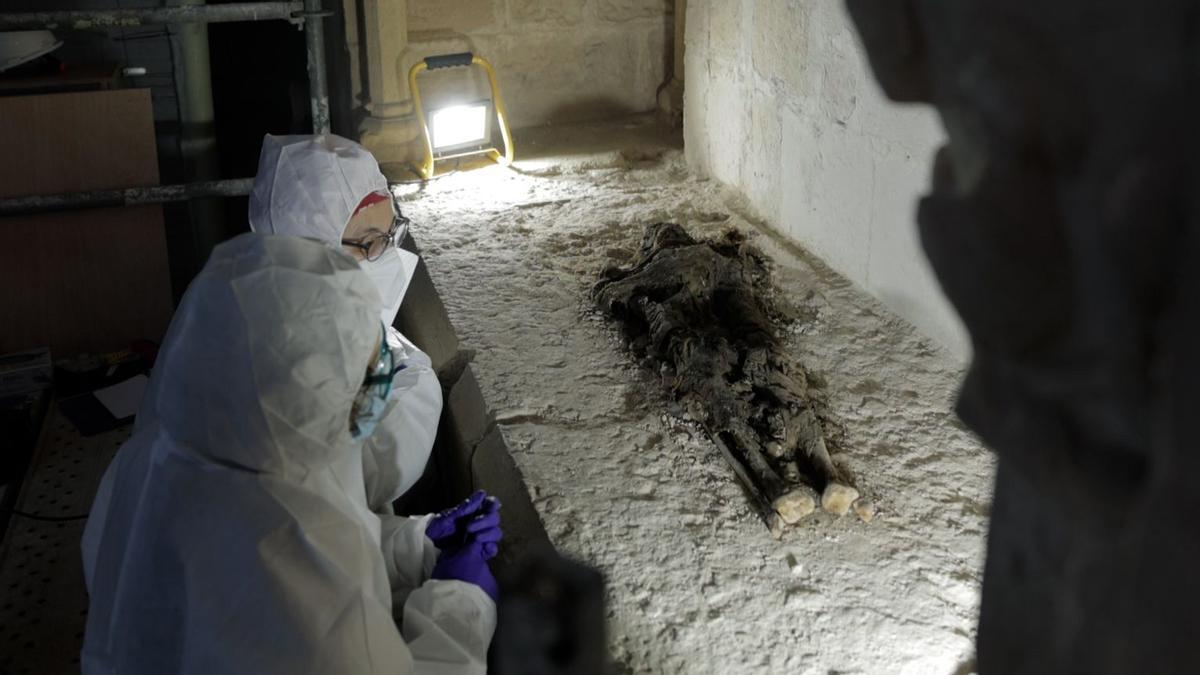 Santes Creus desvela el contenido de seis sarcófagos medievales inviolados