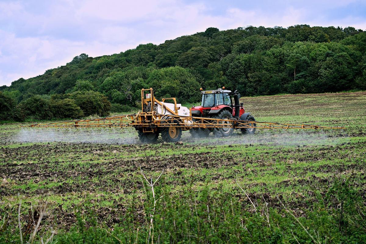 Um agricultor vierte pesticidas en un terreno .