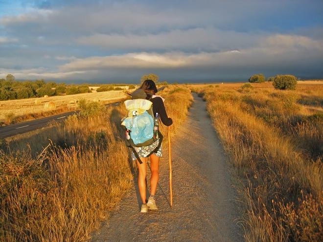 Camino de Santiago