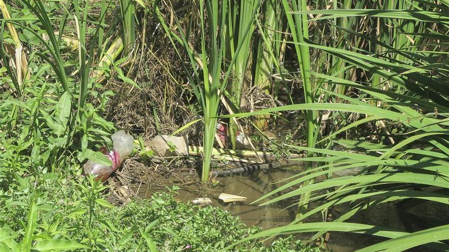 El Ayuntamiento de Cáceres pide a la confederación del Tajo mejoras en la Ribera del Marco