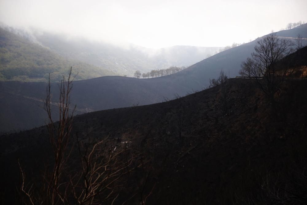 El Suroccidente asturiano arrasado por las llamas