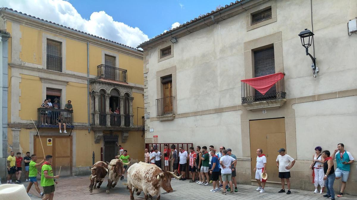 Un acto taurino en las fiestas del pasado mes de junio en Coria.