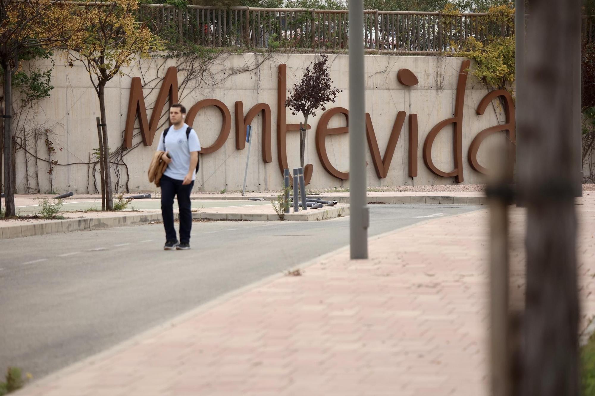 Urbanización Montevida, en La Alberca