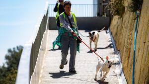 Voluntarios paseando a perros del Centro de Animales de Barcelona, en una imagen de archivo.