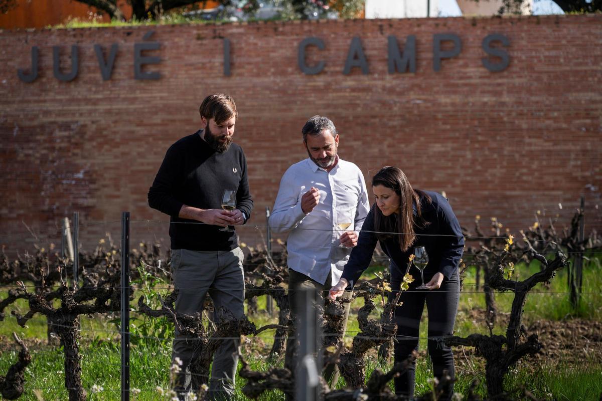 Meritxell Juvé, directora general de Juve&amp;Camps, a la derecha, con el presidente de Corpinnat, Pere Llopart, en el centro, y el vicepresidente de la marca, Roc Gramona