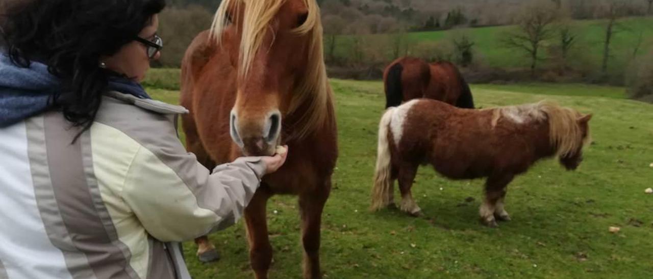 Isabel Antuña, con sus caballos en la finca de Argüelles.