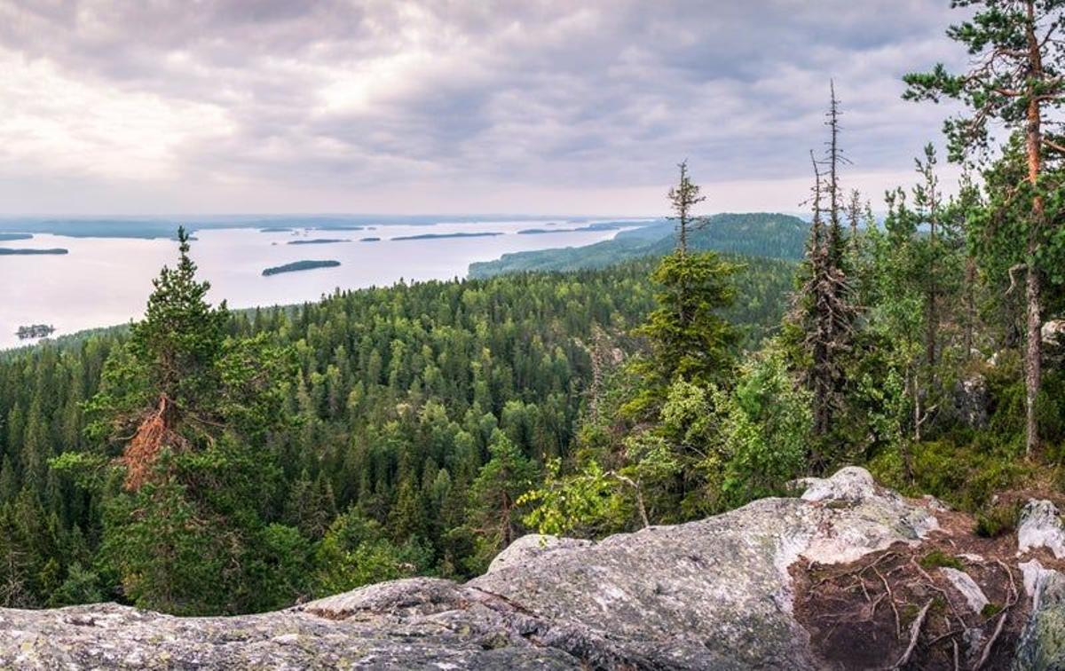 Paha-Koli