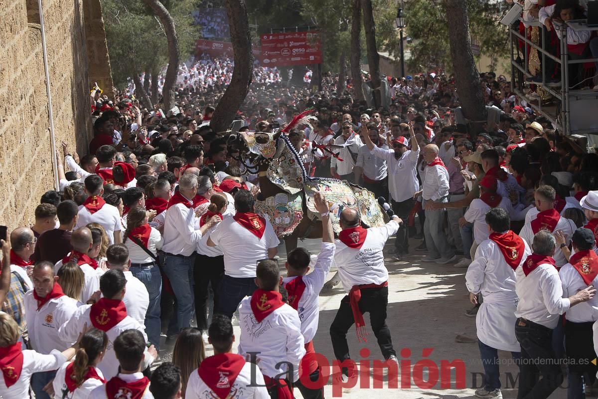 Así se ha vivido la carrera de los Caballos del Vino en Caravaca