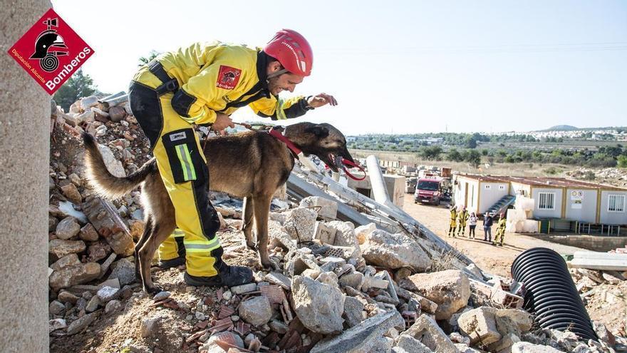 La UA y los Bomberos de la Diputación colaboran para prevenir y actuar frente a terremotos