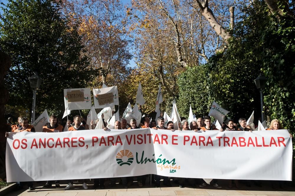 Manifestación en Santiago