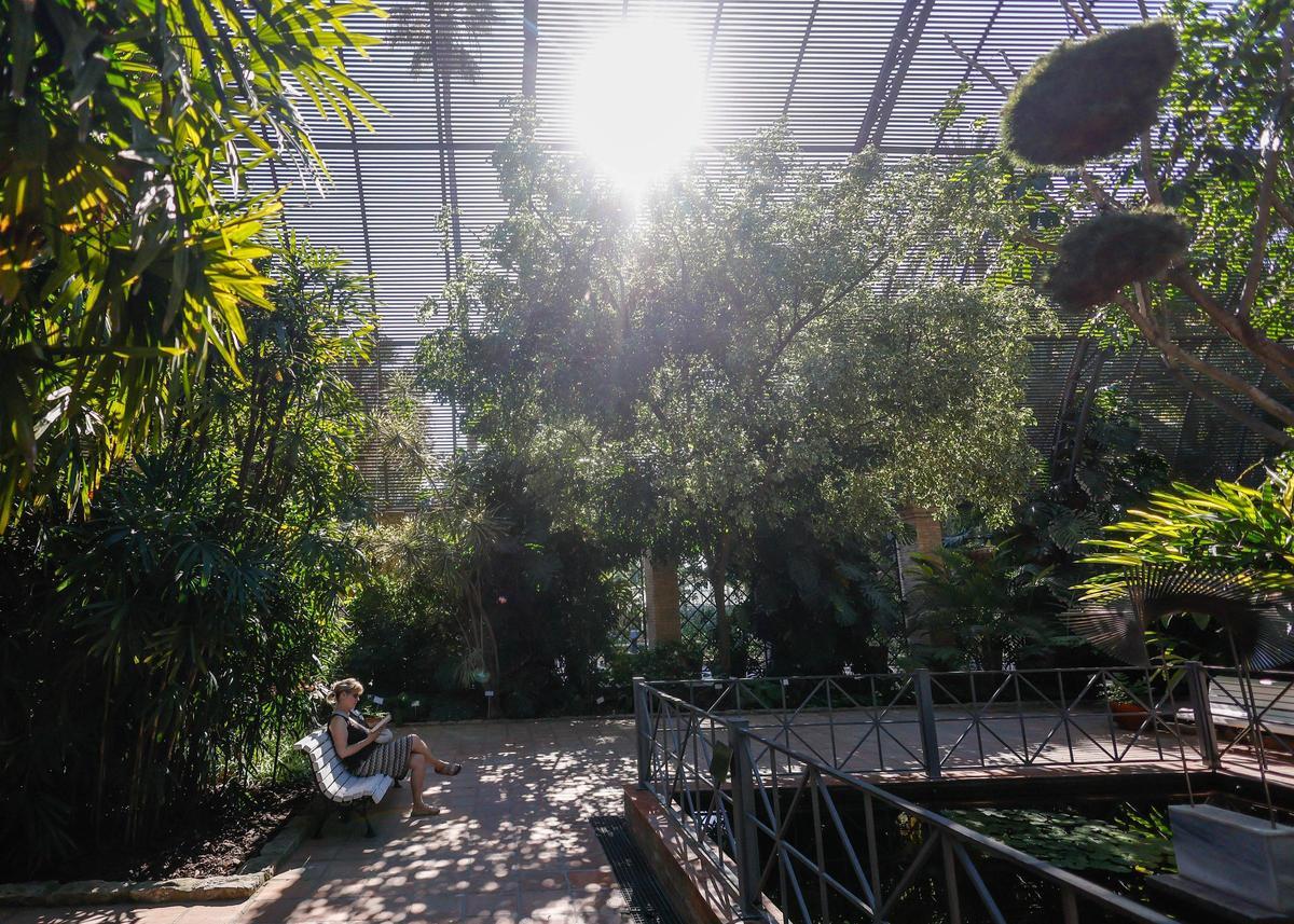 El Jardín Botánico de València está de moda