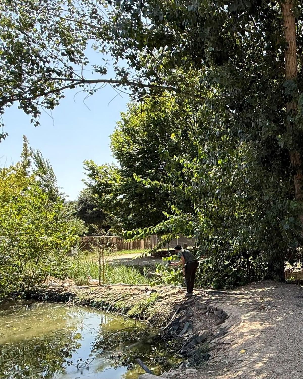 Un agente medioambiental supervisa la zona.