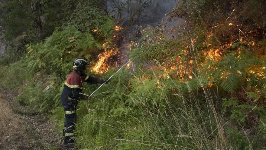 Labores de extinción en un fuego reciente en Ourense // B.L.