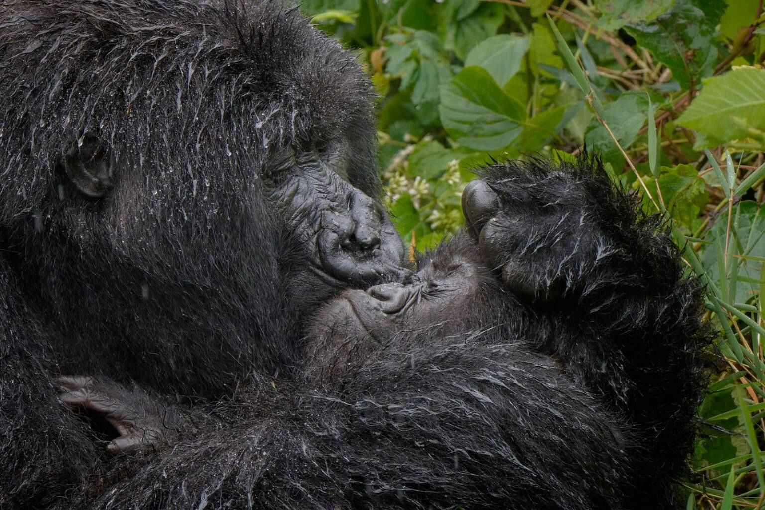 'Aaaaww Mum!'