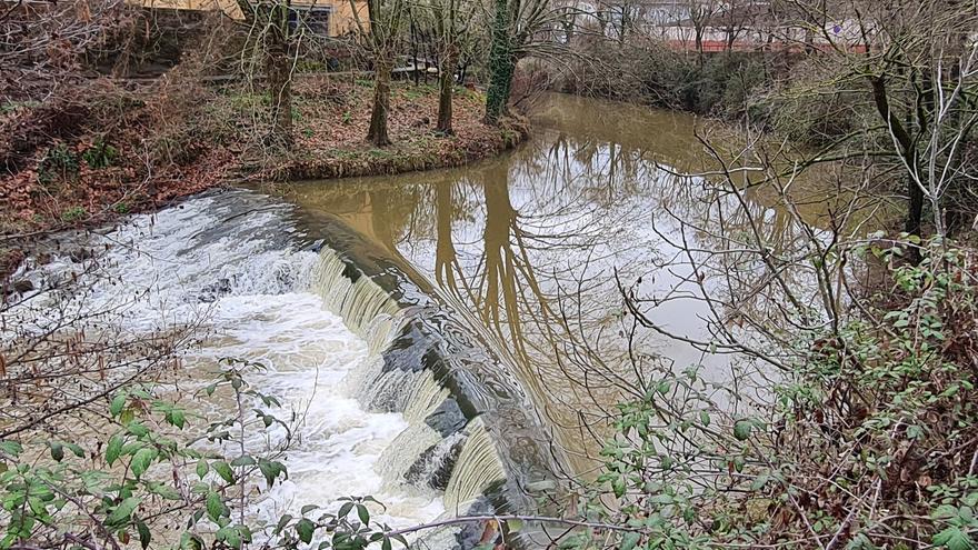 Un noi de 14 anys mor ofegat al riu Fluvià a Olot