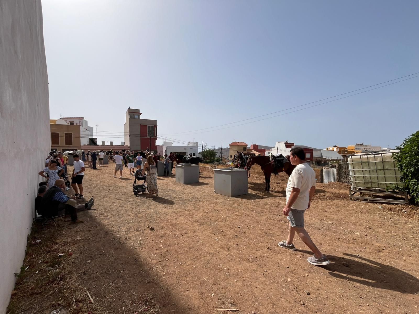 El calor cancela actos en las fiestas en honor a San Pedro y San Pablo de Ingenio