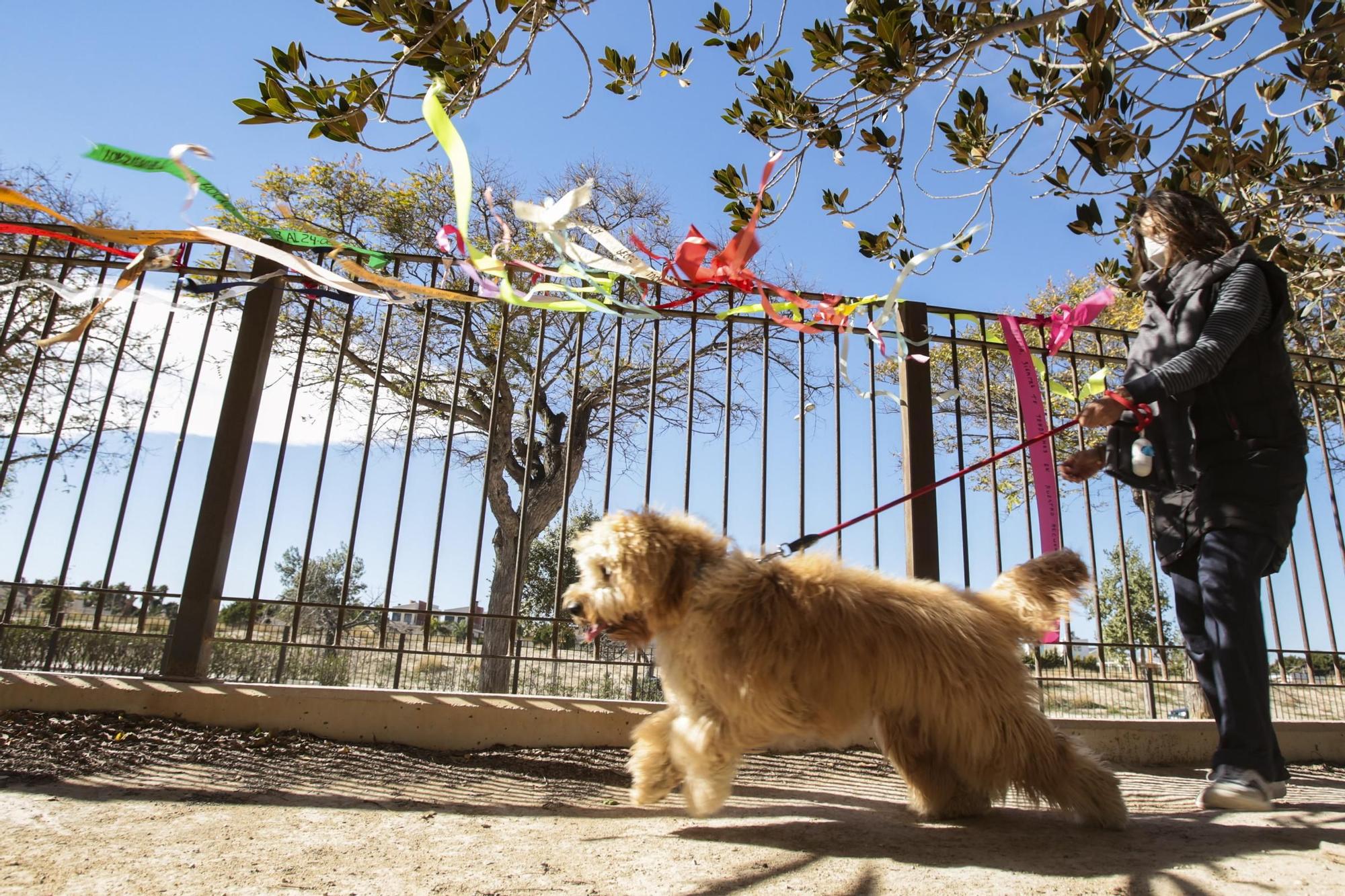 El Ayuntamiento de Alicante instala en el parque del PAU 5 un árbol de metal para que los dueños coloquen las cintas en memoria de los perros fallecidos