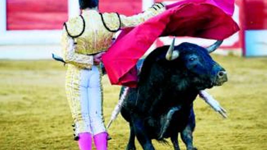 Un cartel extremeño salva la cita taurina de la Feria de Mérida