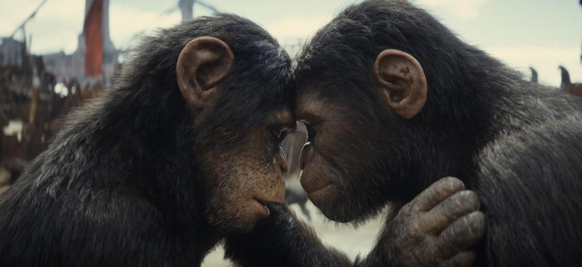 “Los primates se parecen muchos a nosotros, a nivel genetico somos casi identicos”, recuerda el director de ‘El reino del planeta de los simios’, Wes Ball.