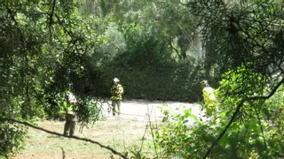 Precaución con los incendios forestales