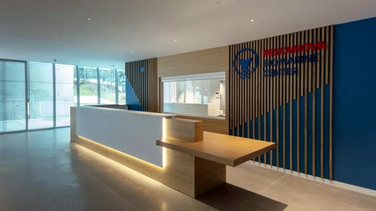 Oficinas del Grupo Nueva Pescanova, proyecto también de Dismac.