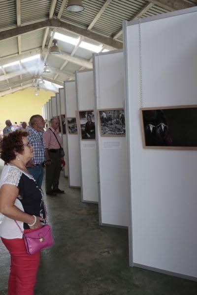 Fiesta de la Trashumancia en San Vitero