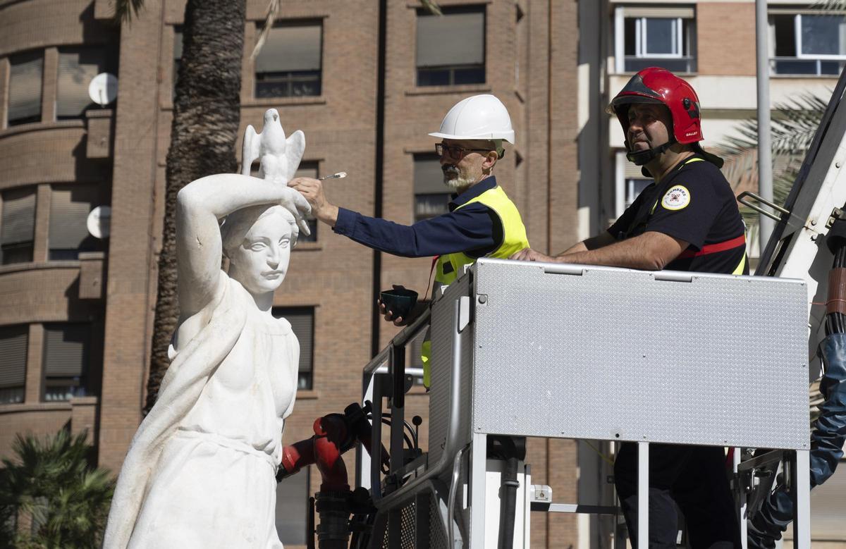 Paloma de Adsuara, en Castelló.