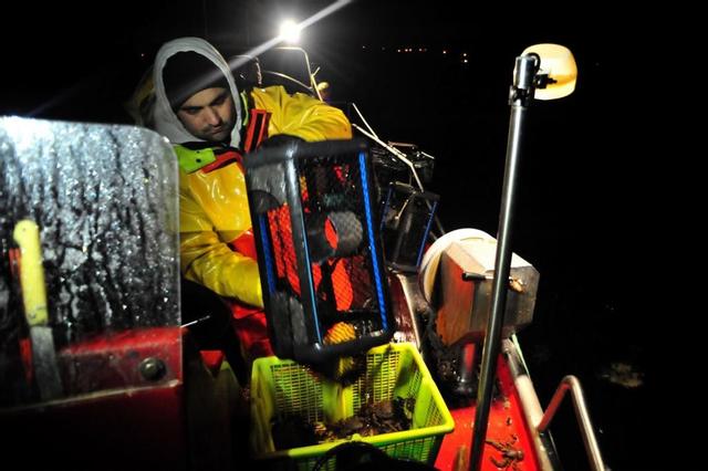 La pesca de nécora con nasa.