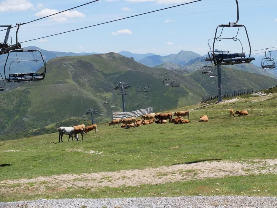 Uso de la estación de esquí de Valgrande-Pajares en verano