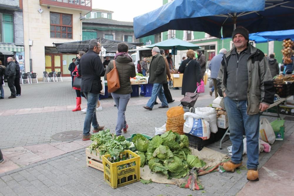 La ola de frío en el mercado de Grado