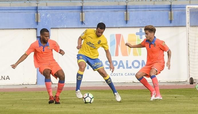 PARTIDILLO UDLP- UDLP C