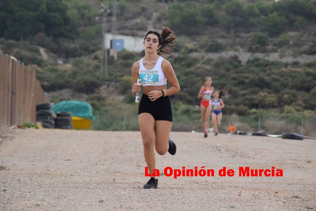 Campeonato Regional de relevos mixtos de atletismo