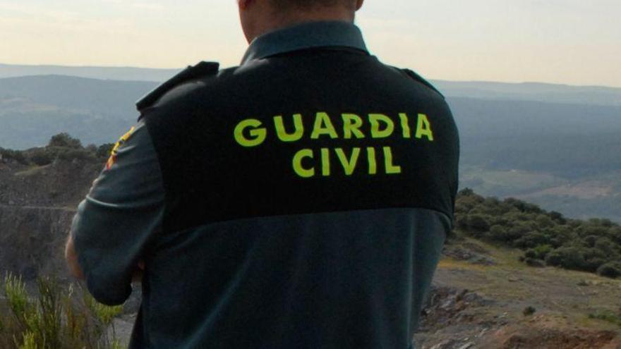 Dos guardias civiles de Badajoz podrán dedicarse a la música y a la apicultura en su tiempo libre