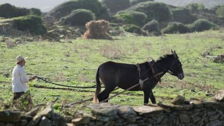 La vida lliure