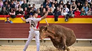 'El Txemi' conquista Castelló en la final de Maestros de la Calle