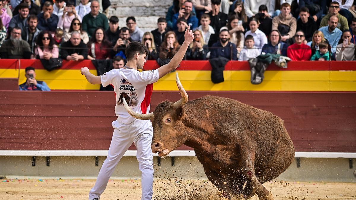 Galería de imágenes: Los maestros de la calle toman la plaza de Castelló