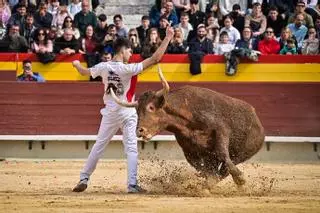 Galería de imágenes: Los maestros de la calle toman la plaza de Castelló