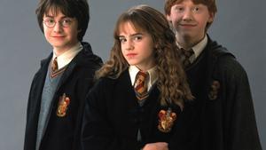 El Torneig de les Cases de Hogwarts fet realitat per l’aniversari de Harry Potter