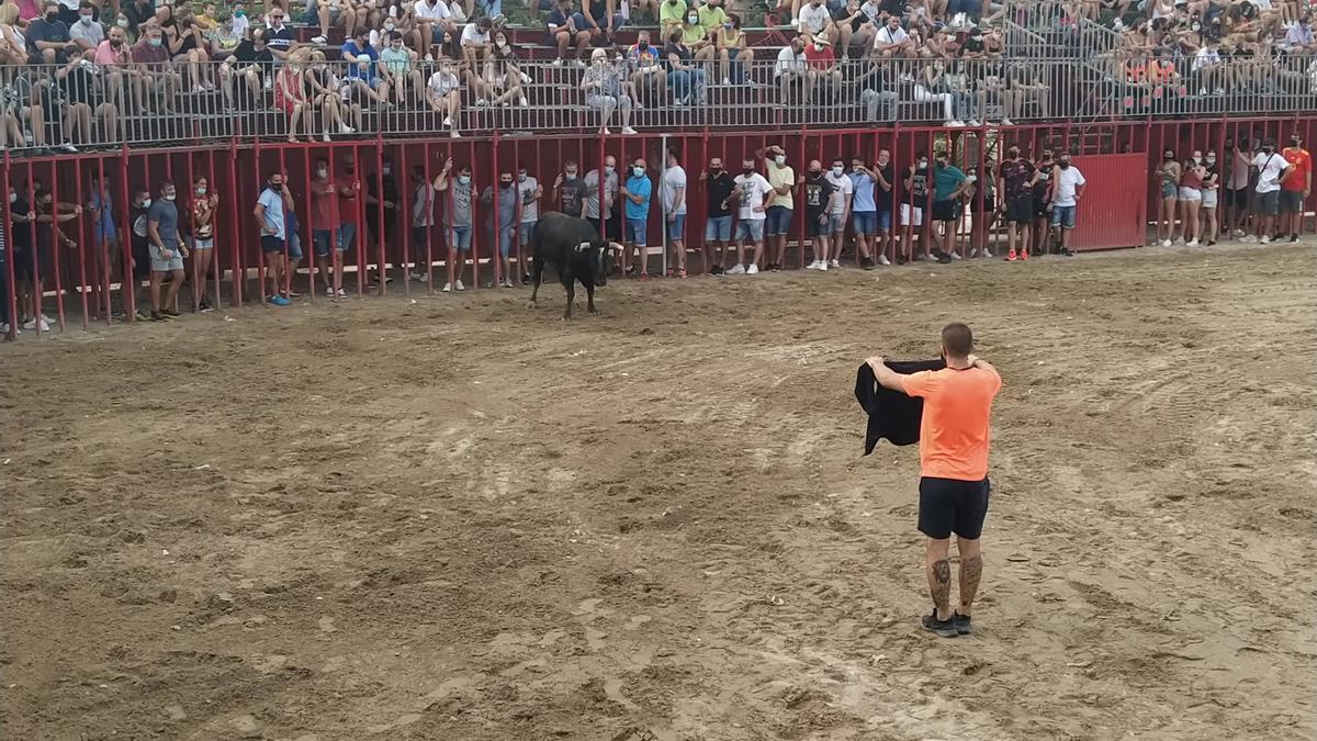 Los &#039;rodaors&#039; han disfrutado de las vacas de la ganadería de Miguel Parejo.