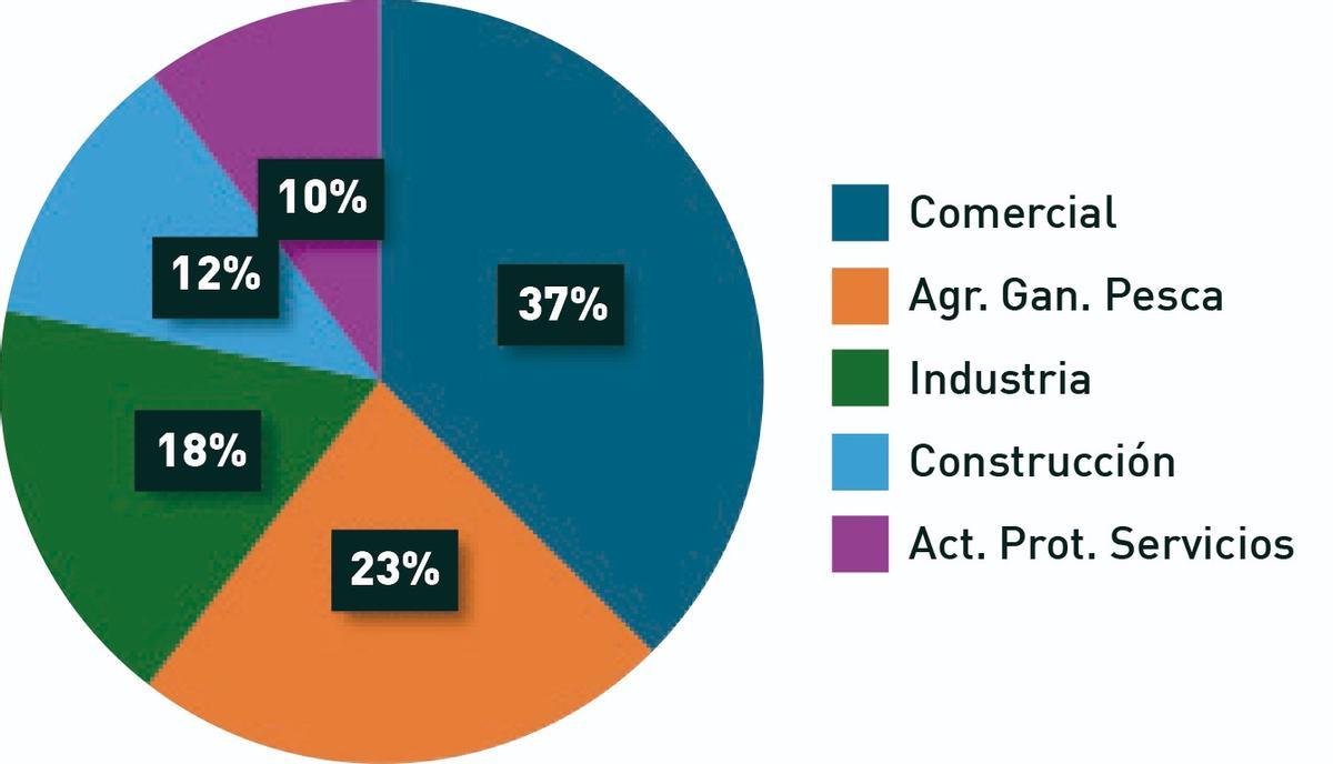 Gráfico 1. Principales actividades económicas por número de establecimientos 2024.