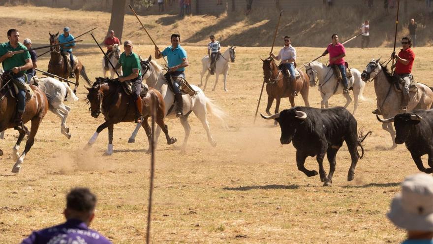 Espantes con galanura en Fuentesaúco