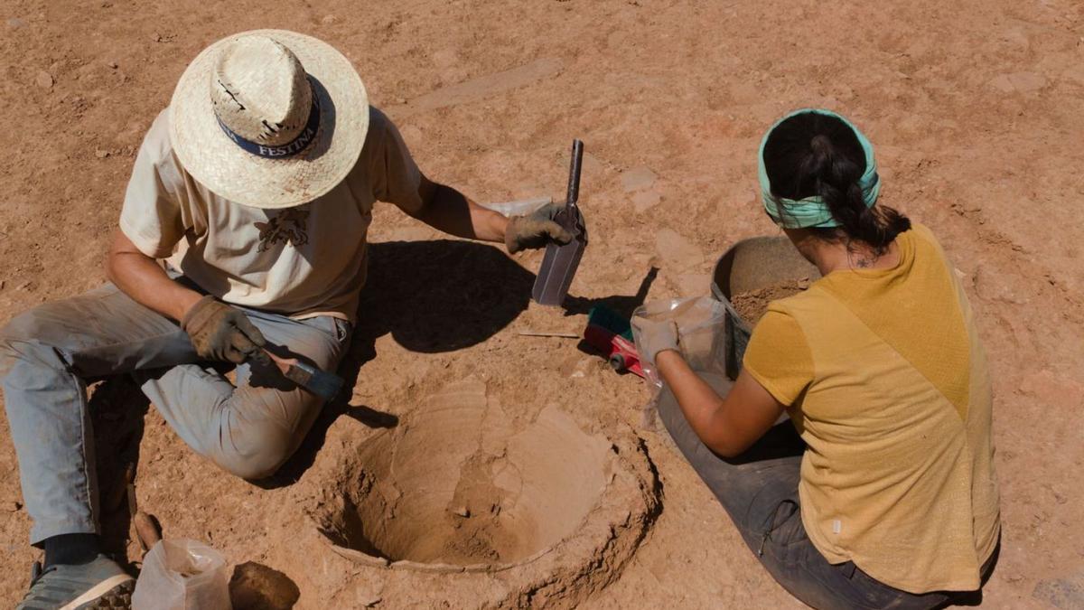 Excavación en El Castrico de Rabanales, por parte de Zamora ProtoHistórica. | Zamora ProtoHistórica