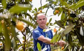 «Los nísperos de Callosa d’en Sarrià se reconocen en toda Europa»