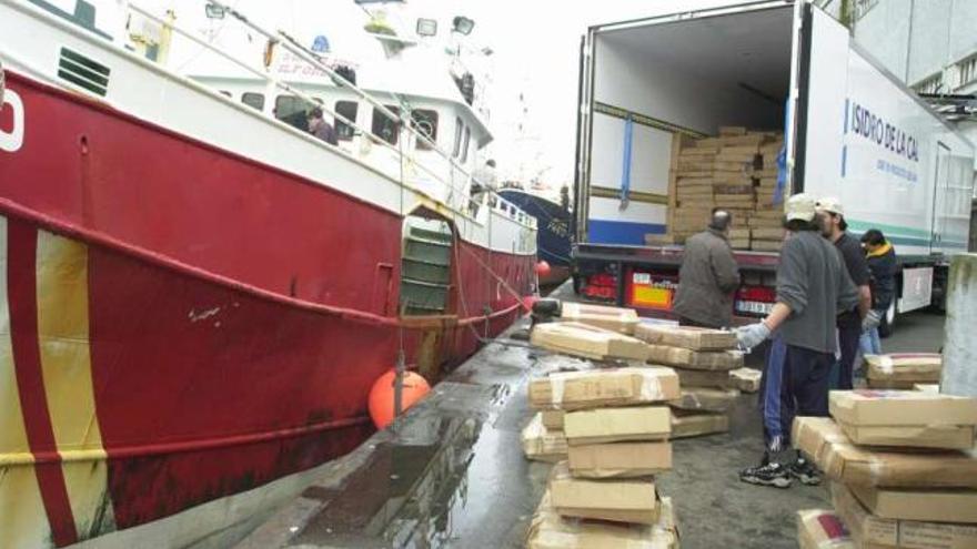 Carga de pescado congelado lista para exportar en el puerto de A Coruña.  // Irene Molina