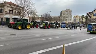 En directo | Más de 300 tractores toman Palma