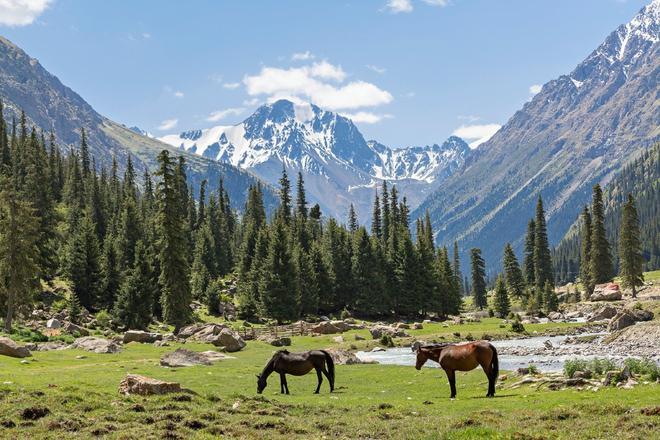 Tian Shan, Kirguistán